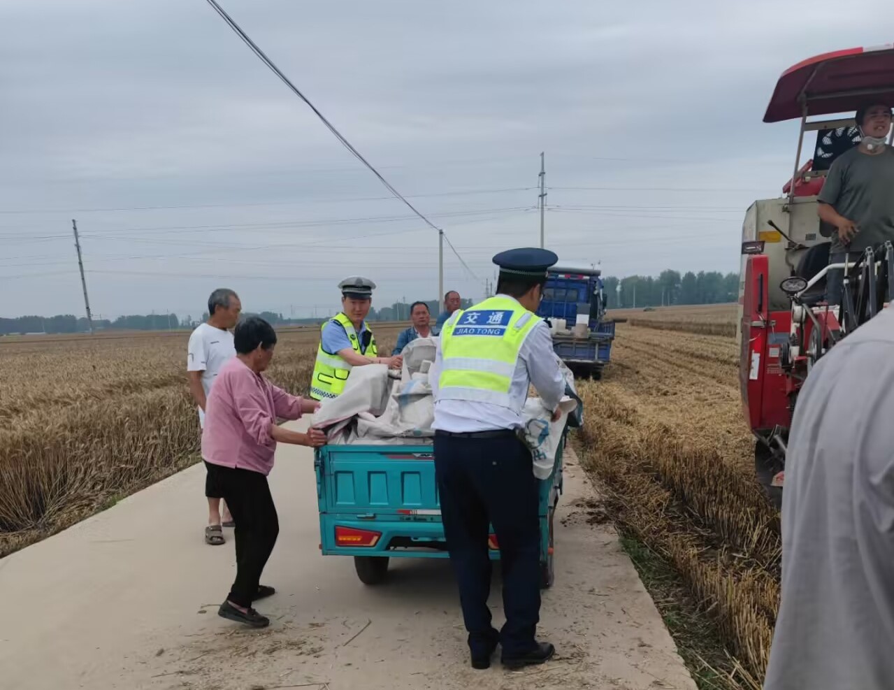 “服务三夏”助收.jpg